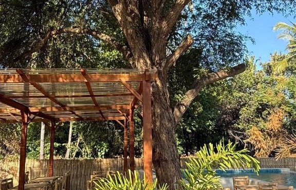 The Tree Poolbar&Resort