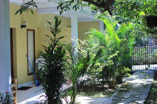 Three V Homestay in Kuta Lombok