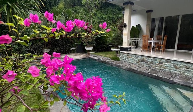 Villa Arjuna lovina in Lovina