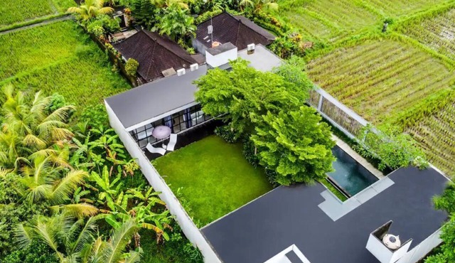 Volcano Loft - Stylish Modern 2 Bedroom Ubud Escape in Gianyar