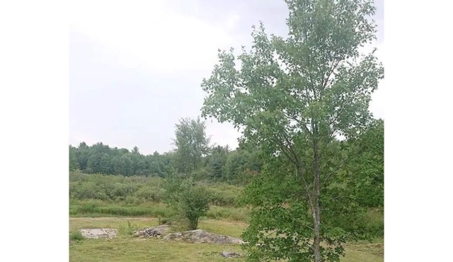 White Raven Cottage is the peaceful, escape you’ve been longing for in Washago