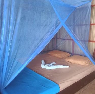 Wobbegong Homestay in Yennanas Besir