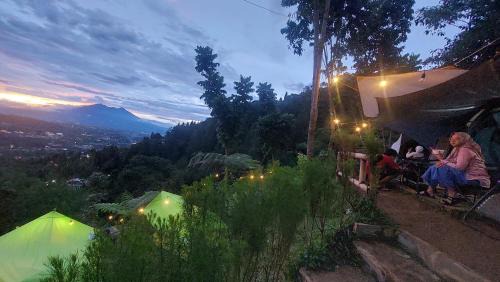 ZOYA HILLS