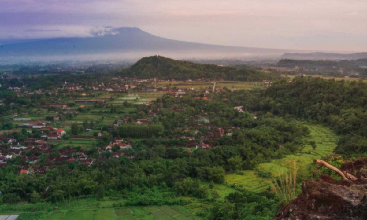 Srimulyo Bed & Breakfast | Camping Ground Bukit Tompak