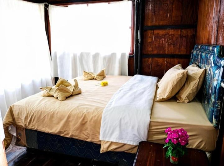 Ngada House | Homestay Wolokoro
