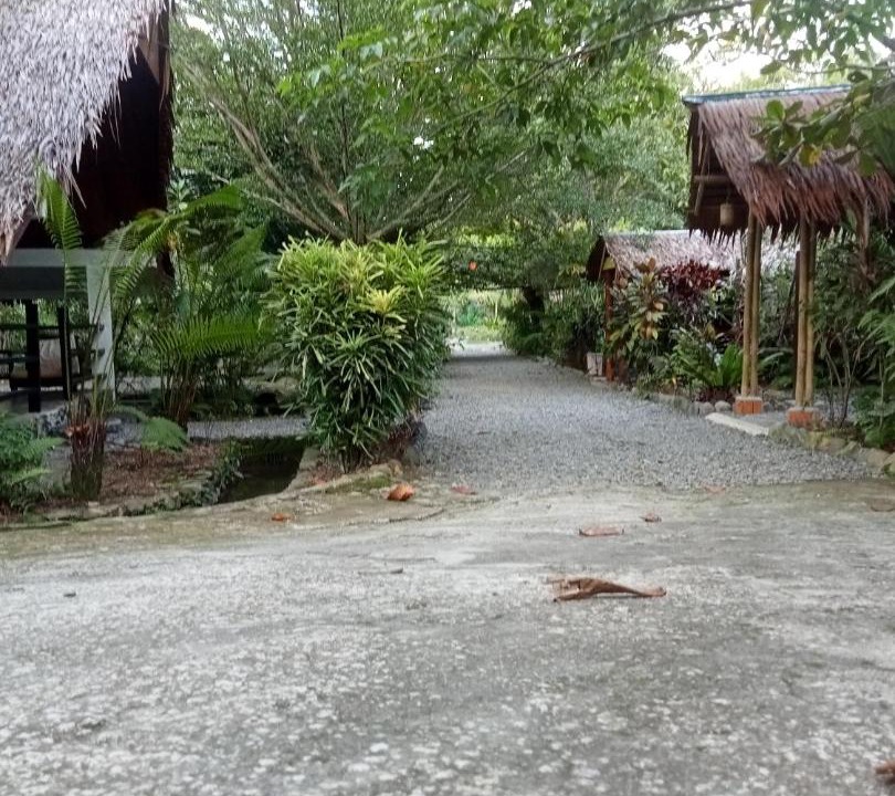 Bohorok House | Magpie homestay & jungle trekking especially for guest trekking with us