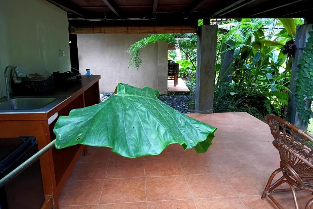 Peliatan Villa | Ubud Jungle Stay - Mahari by WAHM