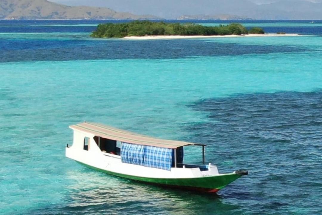 Komodo House | Jhuna Komodo Homestay