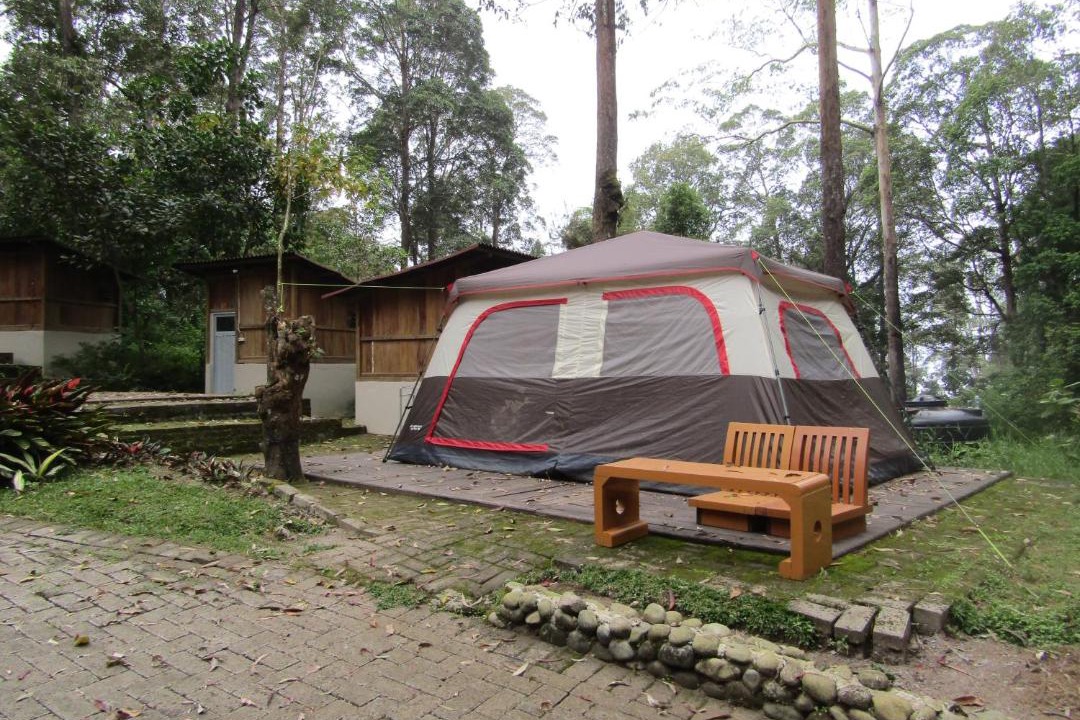 Sarangan Resort | Lawu Forest Camp