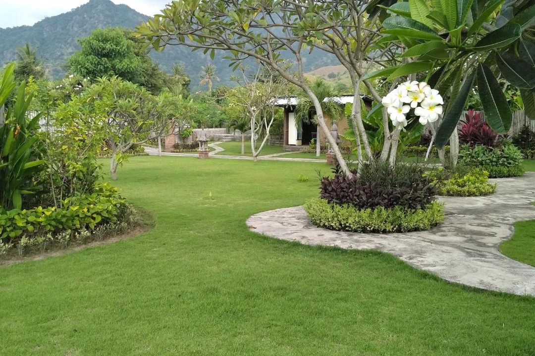 Pemuteran Bed & Breakfast | Krisna Homestay