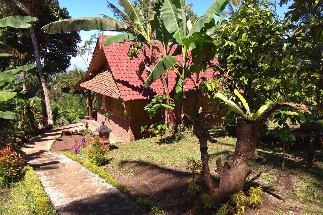Selemadeg Cabin | Bali mountain forest cabin