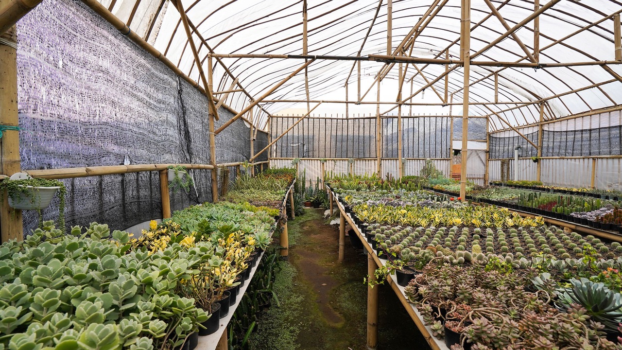 Photo of Outdoor in Lembang