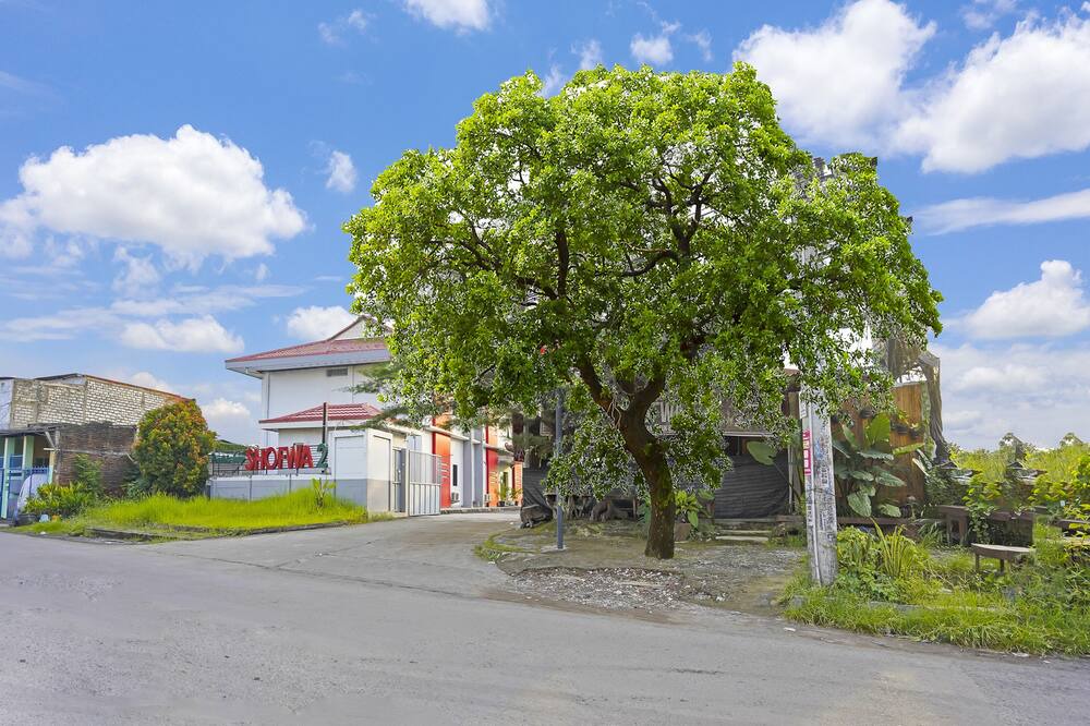 Photo of Outdoor in Waru