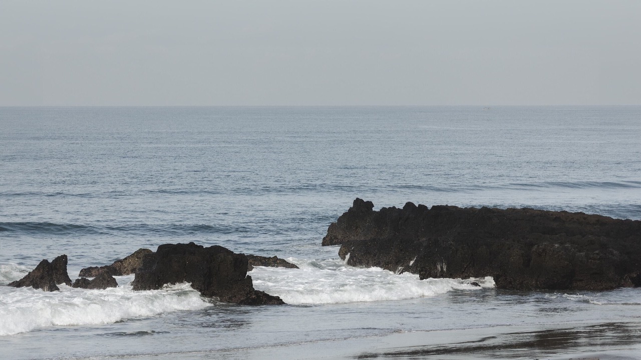 Photo of Others in Batu Bolong