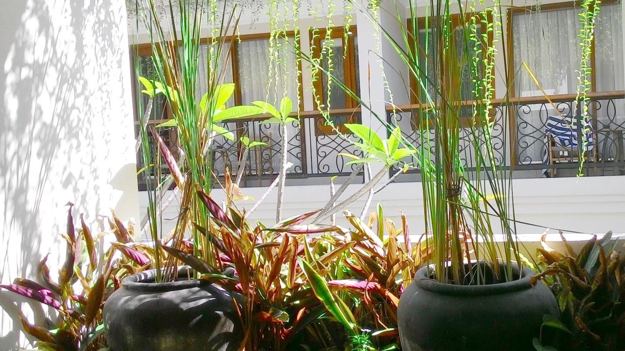 Photo of Outdoor in Sunset Road