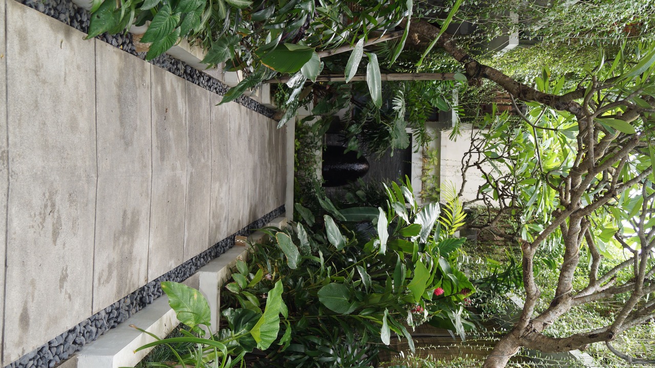 Photo of Outdoor in Legian