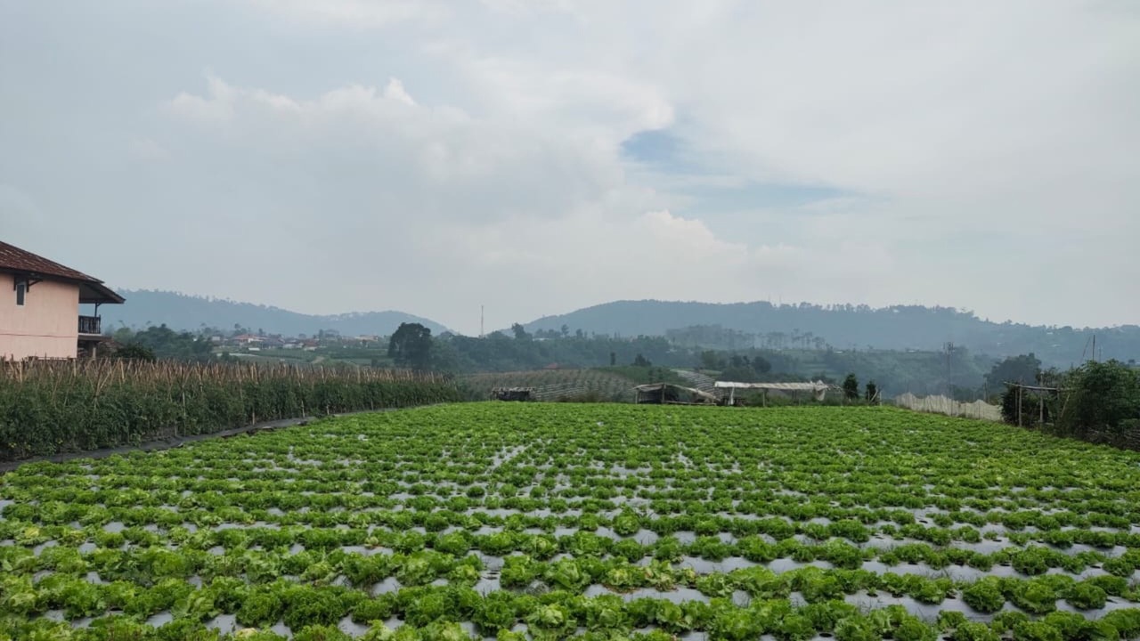 Photo of Outdoor in Lembang