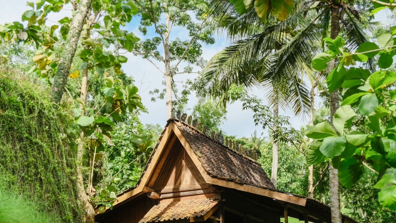 Photo of Outdoor in Selong Belanak