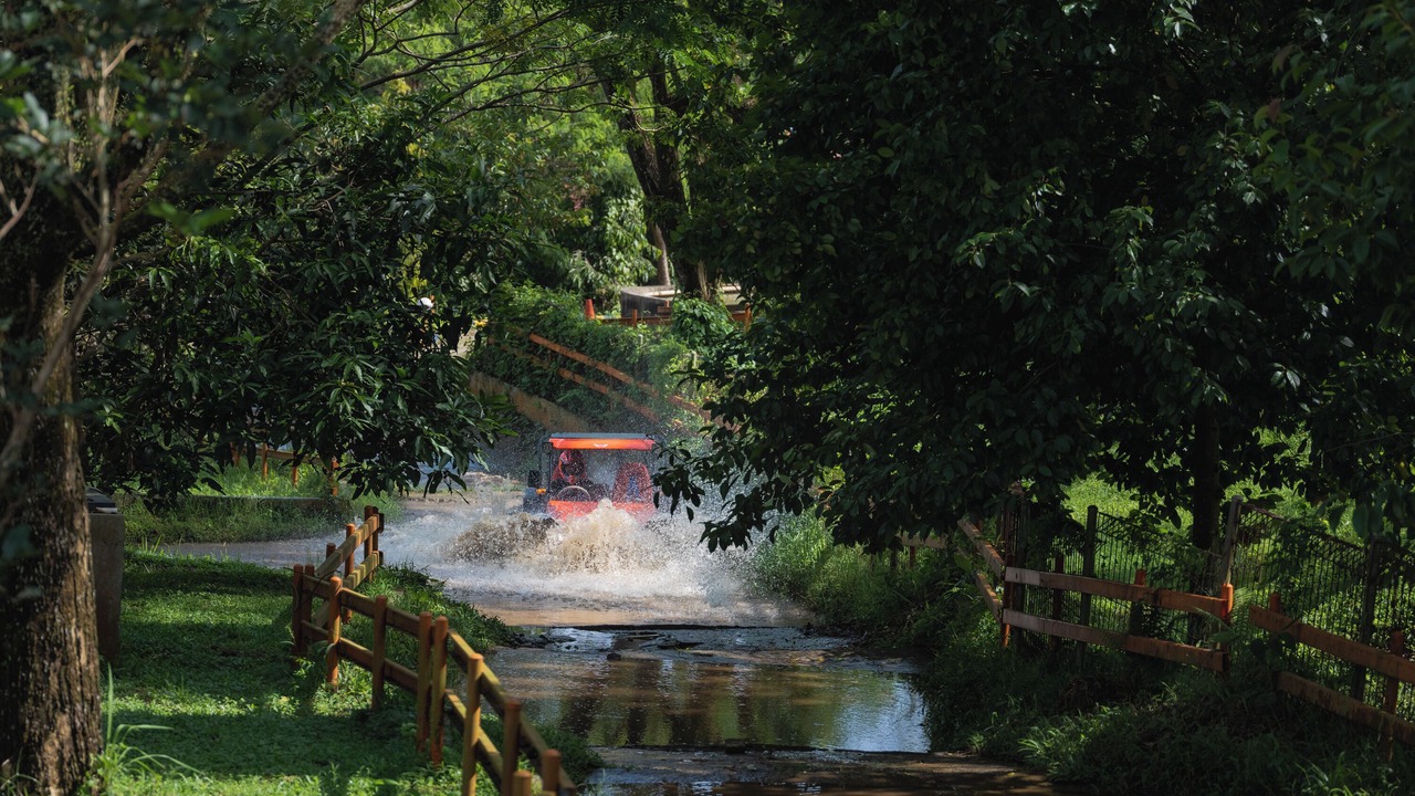 Photo of Outdoor in Megamendung