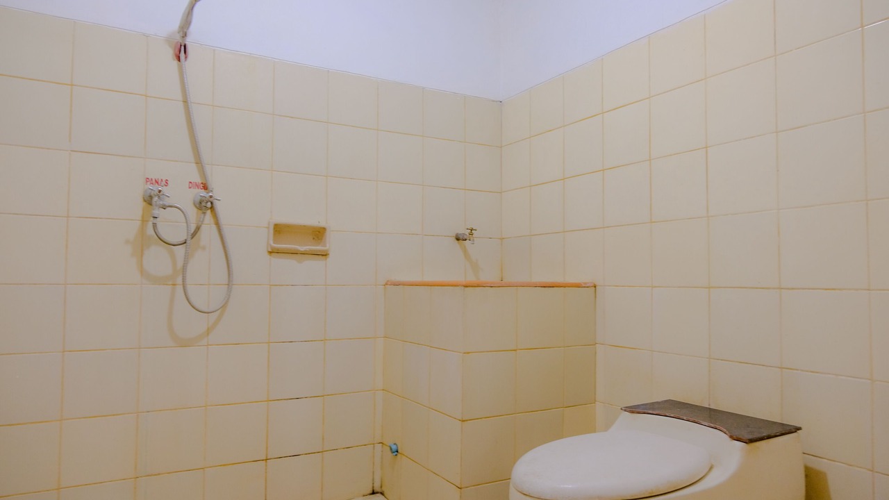 Photo of Bathroom in Plaosan