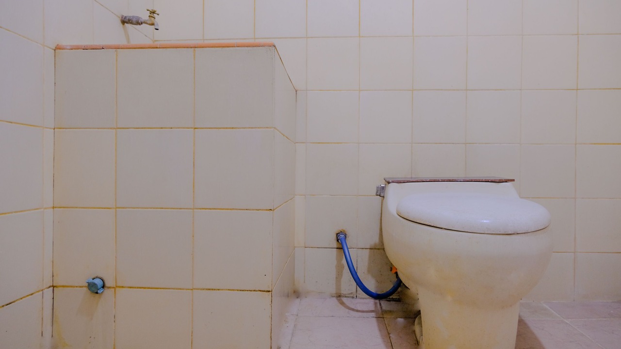 Photo of Bathroom in Plaosan