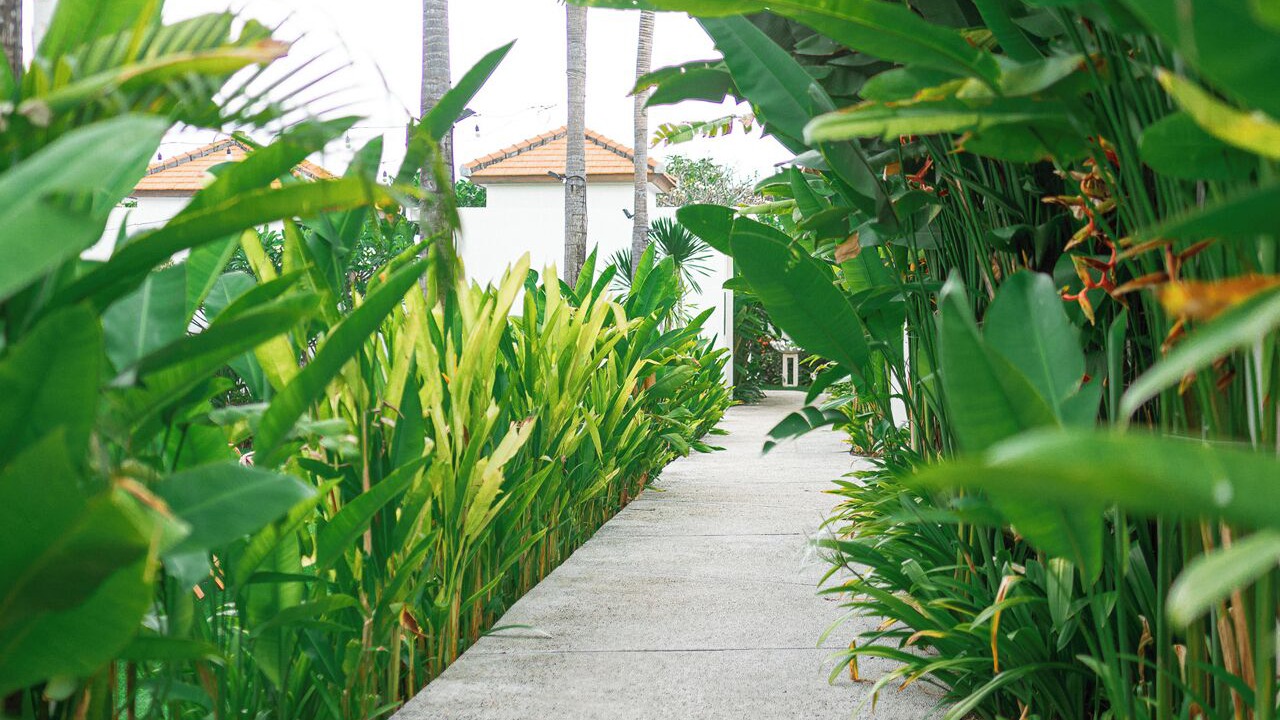 Photo of Outdoor in Sanur Kauh
