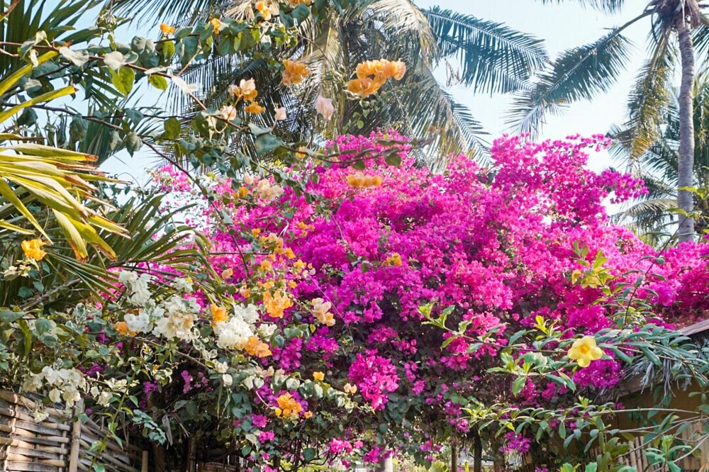 Photo of Outdoor in Gili Trawangan