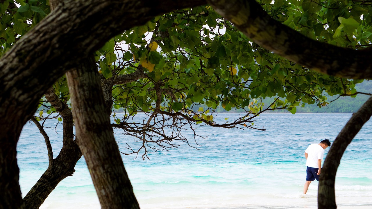 Photo of Outdoor in Peucang Island