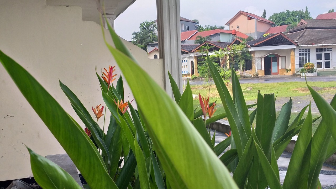 Photo of Outdoor in Purwakarta