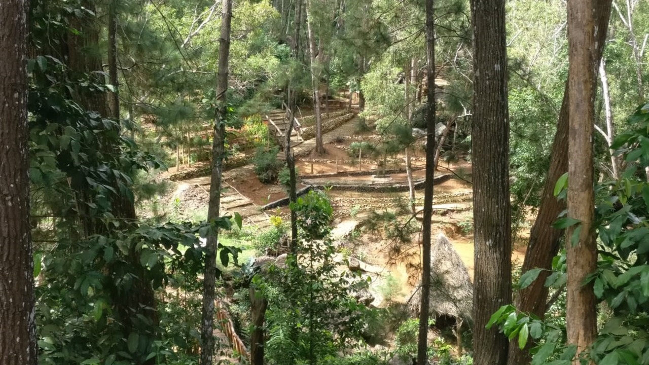 Photo of Outdoor in Mangunan