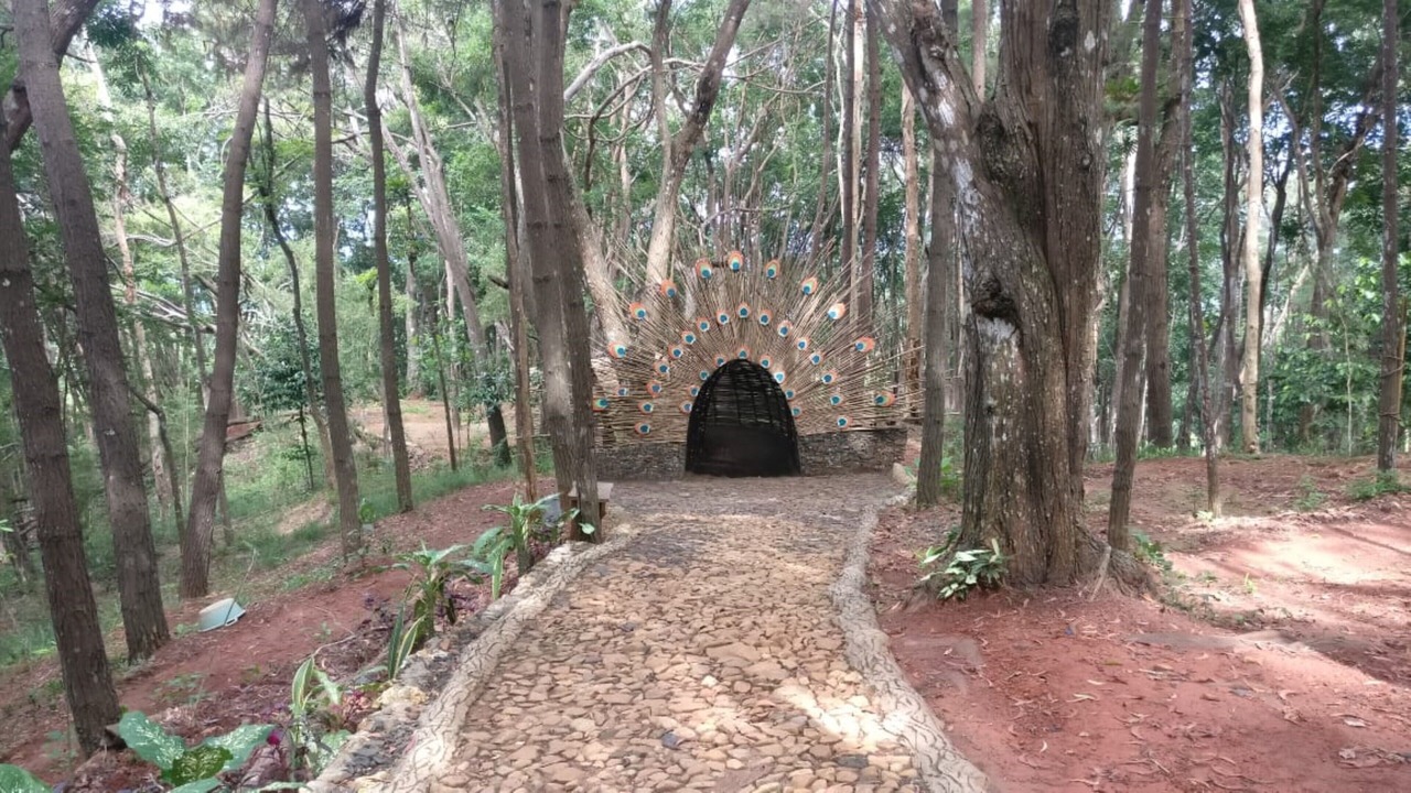 Photo of Outdoor in Mangunan