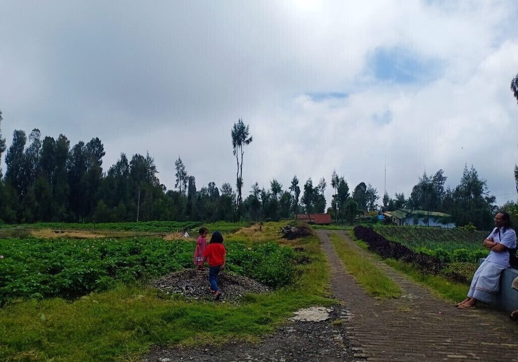 Photo of Outdoor in Ngadisari