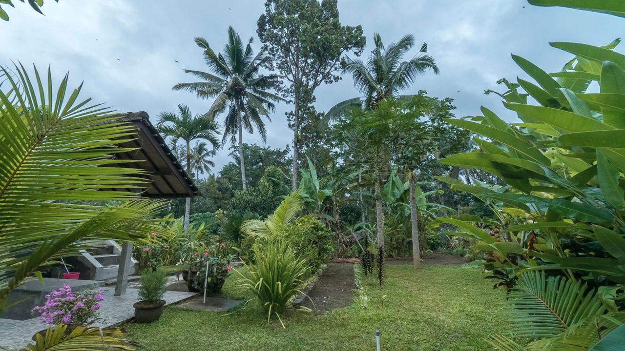 Photo of Outdoor in Payangan