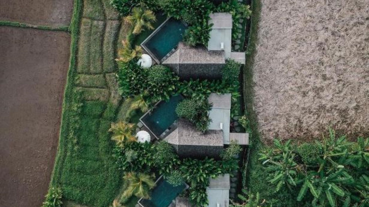 Photo of Outdoor in Ubud City-Centre