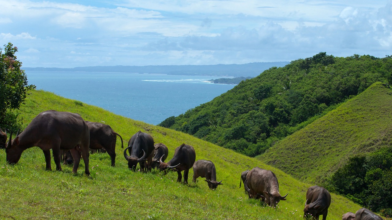 Photo of Outdoor in Wanokaka