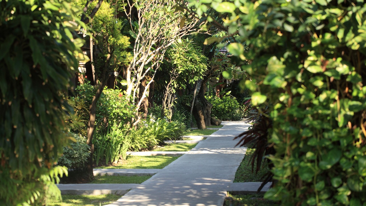 Photo of Outdoor in Kuta