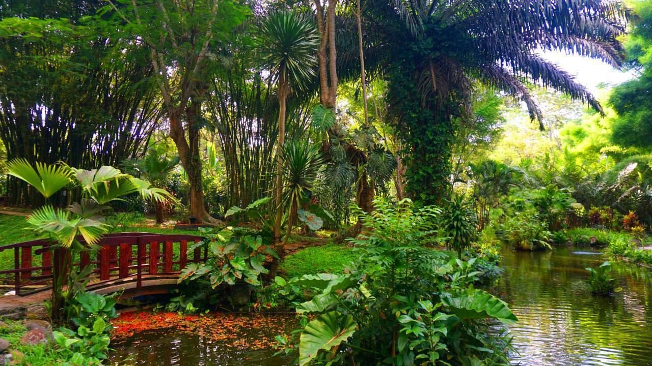 Photo of Outdoor in Pringsurat