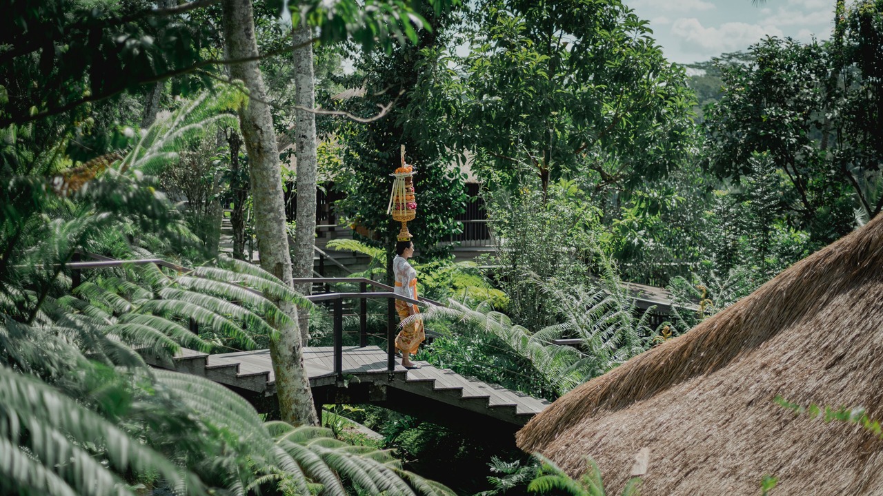 Photo of Outdoor in Melayang