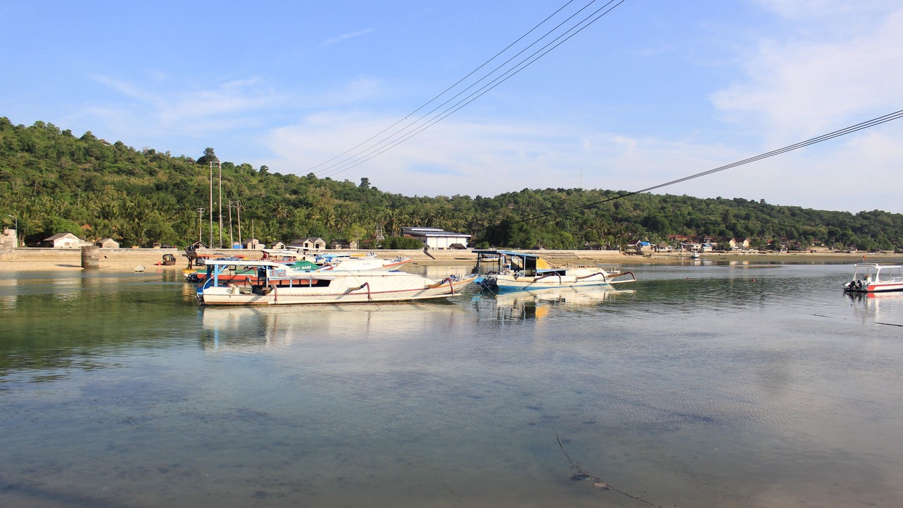 Photo of Others in Mushroom Bay