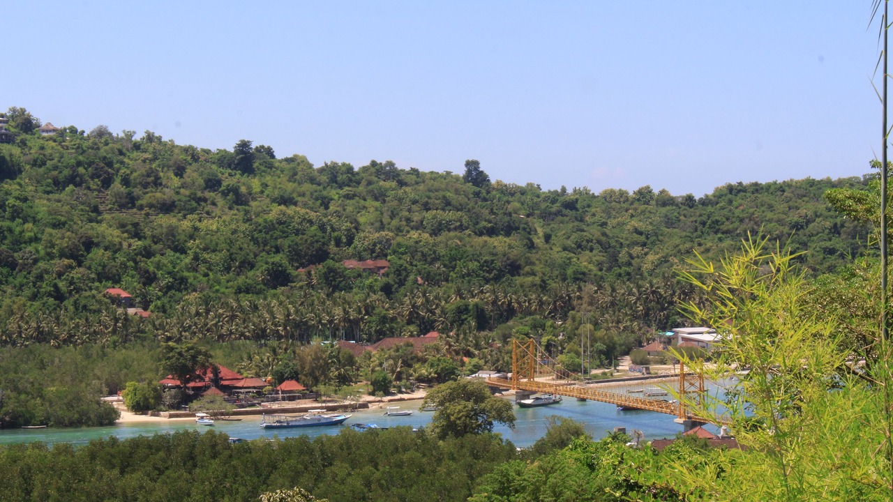 Photo of Outdoor in Mushroom Bay