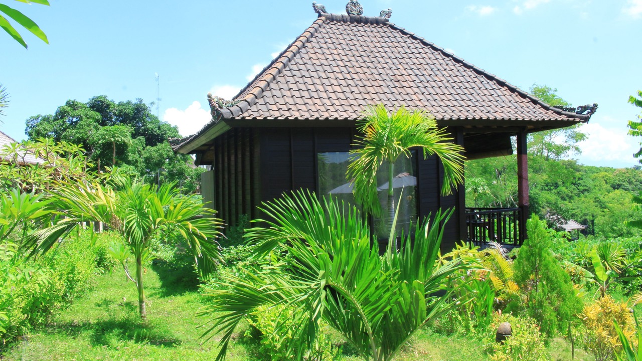 Photo of Outdoor in Mushroom Bay