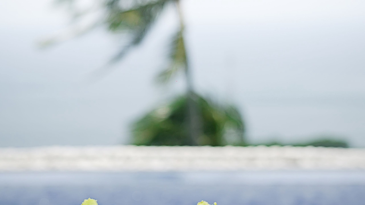 Photo of Others in Senggigi