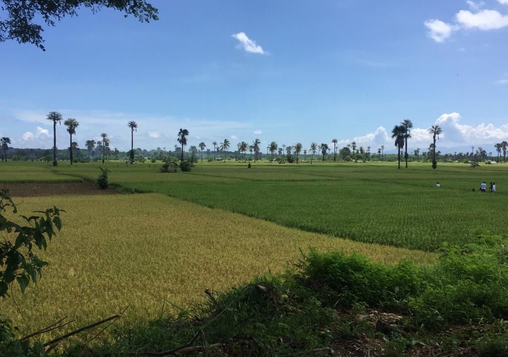 Photo of Outdoor in Tanjung Lesung