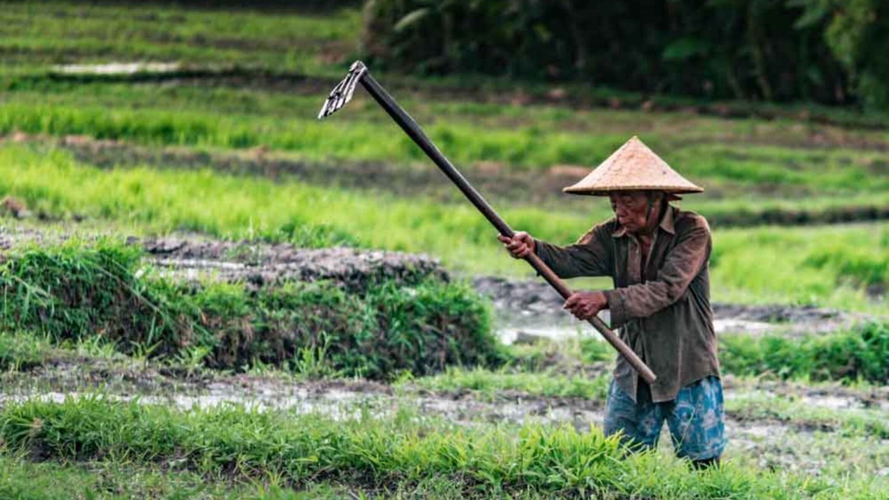 Photo of Outdoor in Ubud City-Centre