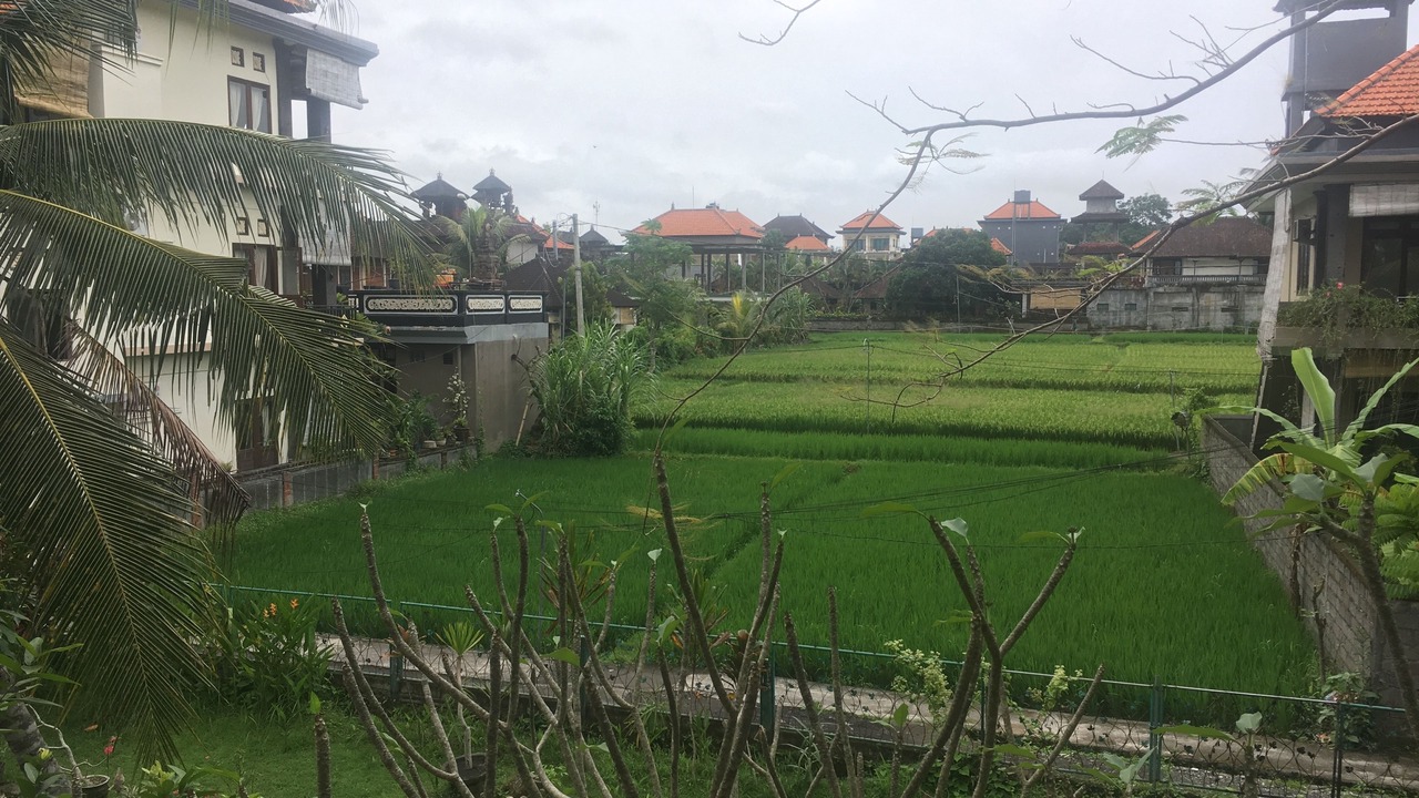 Photo of Outdoor in Ubud City-Centre
