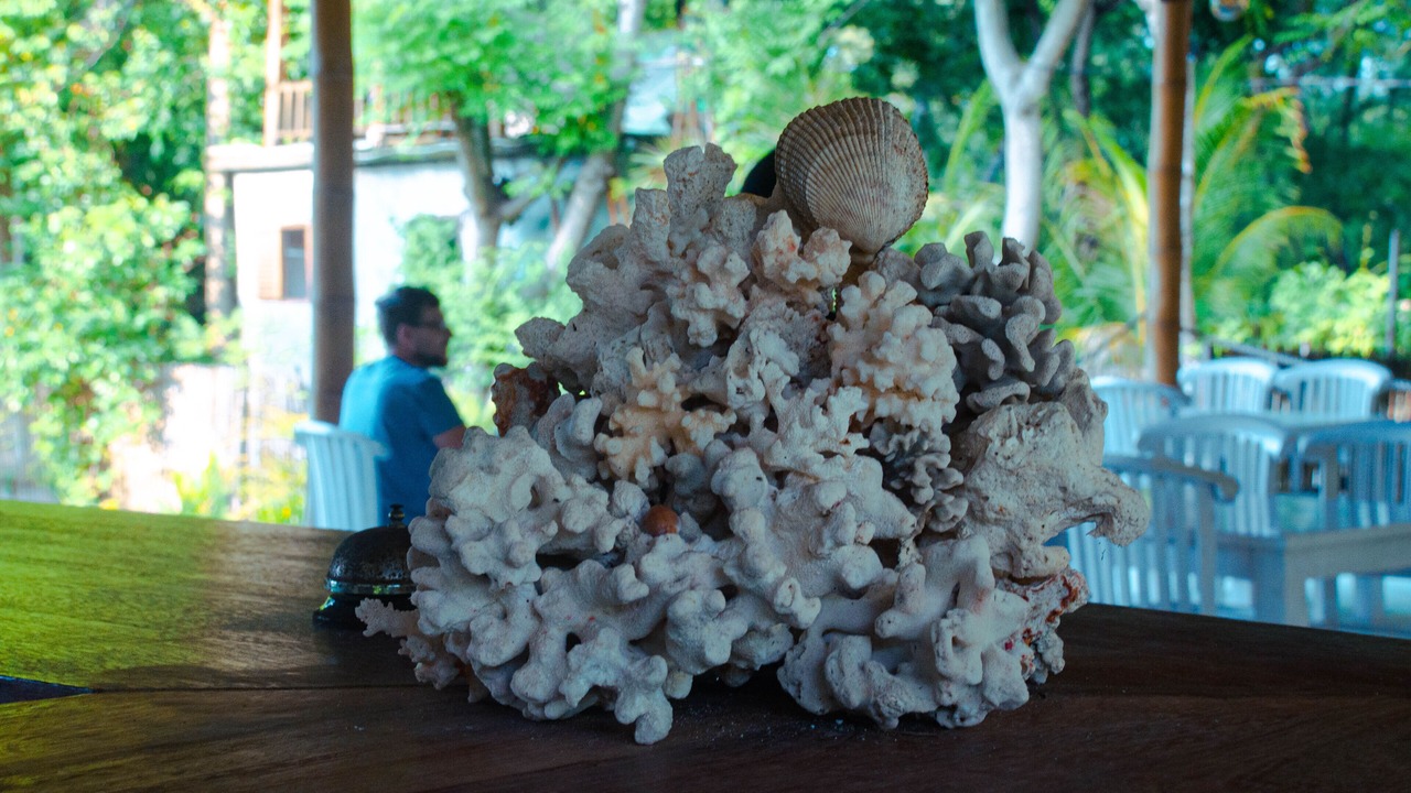 Photo of Others in Gili Meno