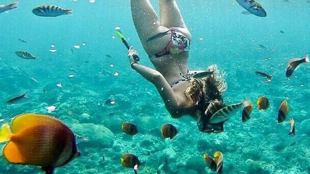 Photo of Others in Gili Meno