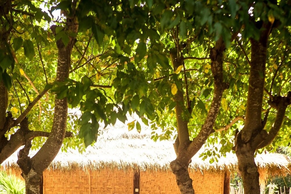 Photo of Bathroom in Desa Wula