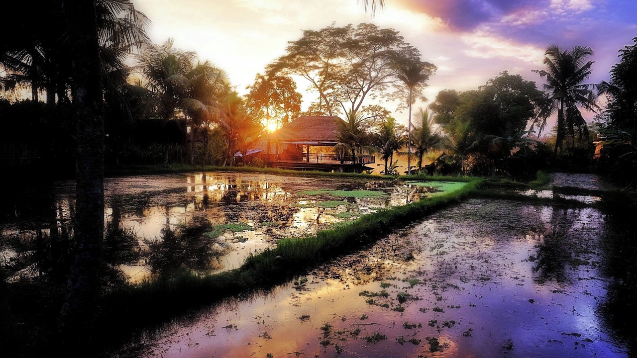 Photo of Outdoor in Ubud City-Centre