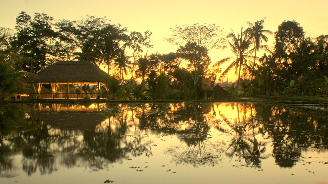 Photo of Outdoor in Ubud City-Centre